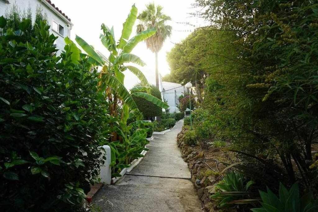 Playa Y Naturaleza 에스테포나 외부 사진